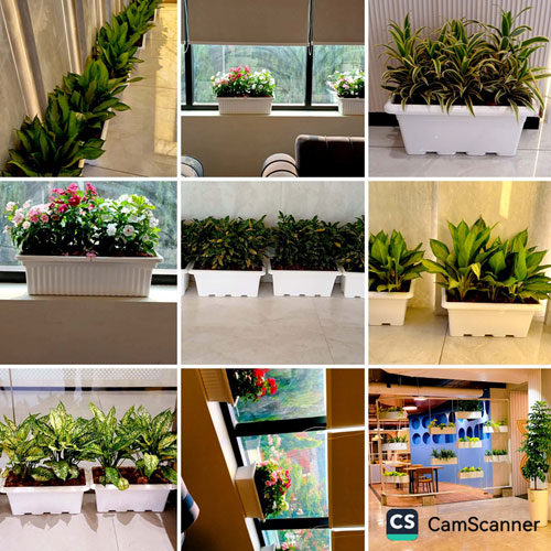 Nature Care