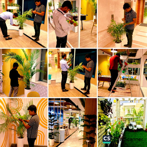 Nature Care
