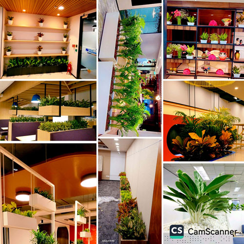 Nature Care