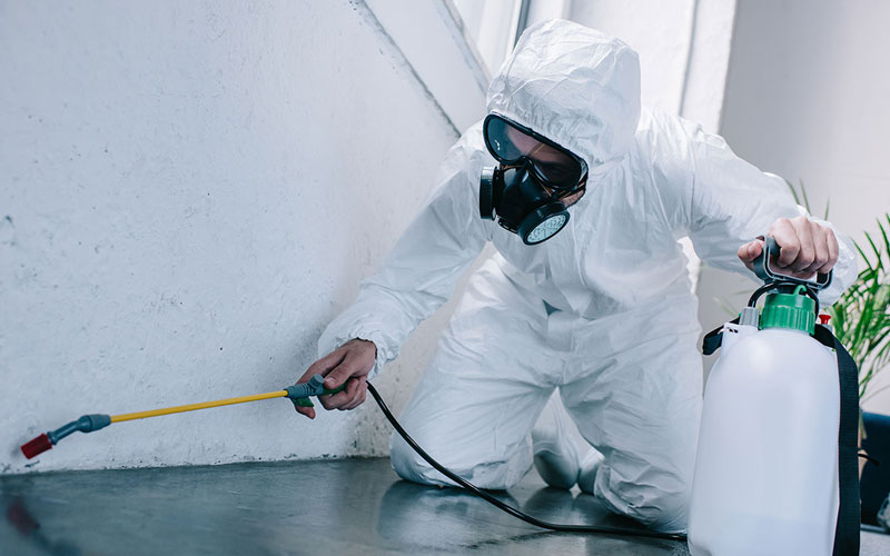 Pest Control Services